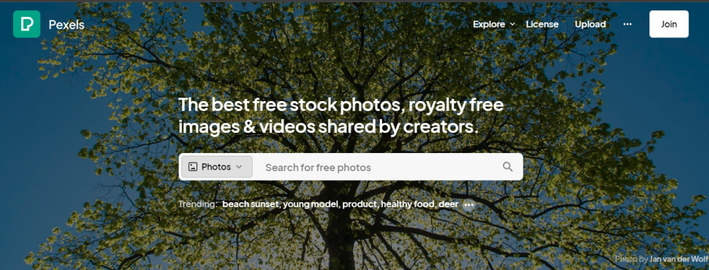 Pexels - top video marketing tools